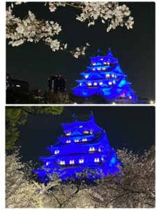 大阪城西の丸庭園夜桜